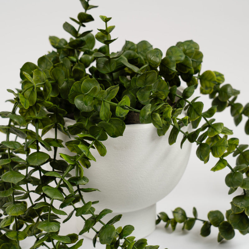 40cm Artificial Trailing Eucalyptus in Rustic Footed Pot